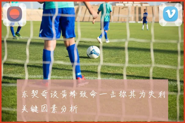 东契奇谈黄蜂致命一击称其为失利关键因素分析