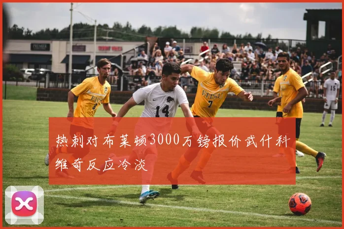 热刺对布莱顿3000万镑报价武什科维奇反应冷淡