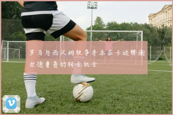 罗马与西汉姆联争夺本菲卡边锋谢尔德鲁普的转会机会